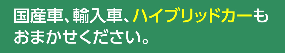 国産車、輸入車、ハイブリッドカーもおまかせください。