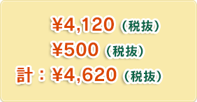 ¥4,448（税込）¥540（税込・工賃）計：¥4,988（税込）