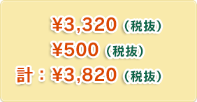 ¥4,016（税込）¥540（税込・工賃）計：¥4,556（税込）
